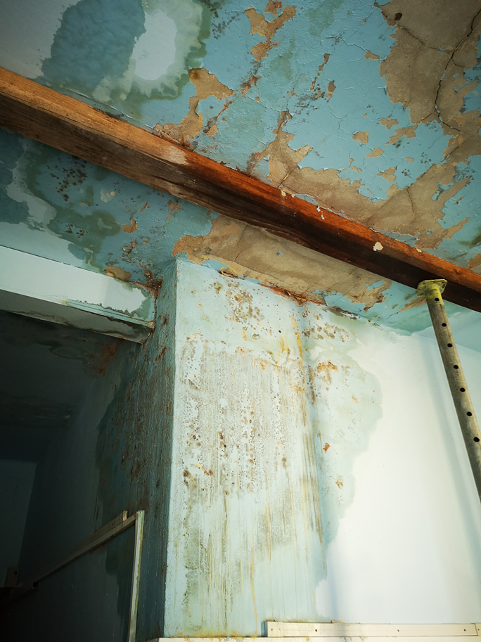 Bochemit helps remove mould from the Bohumín – Skřečoň elementary school and preschool 